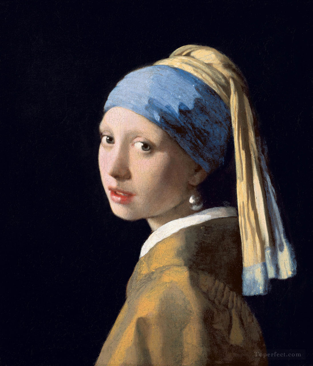 Girl with a Pearl Earring Baroque Johannes Vermeer Oil Paintings